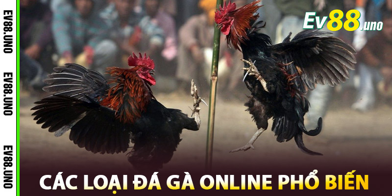 Các Loại Đá Gà Online Phổ Biến