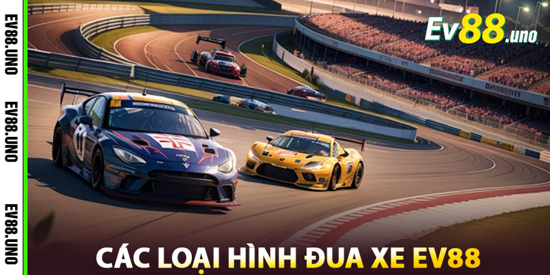 Đua Xe EV88 – Thử Thách Tốc Độ, Kích Thích Mọi Giác Quan 3 Các Loại Hình Đua Xe EV88