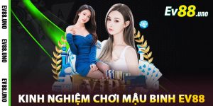 Kinh Nghiệm Chơi Mậu Binh EV88