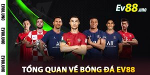 Tổng Quan Về Bóng Đá EV88